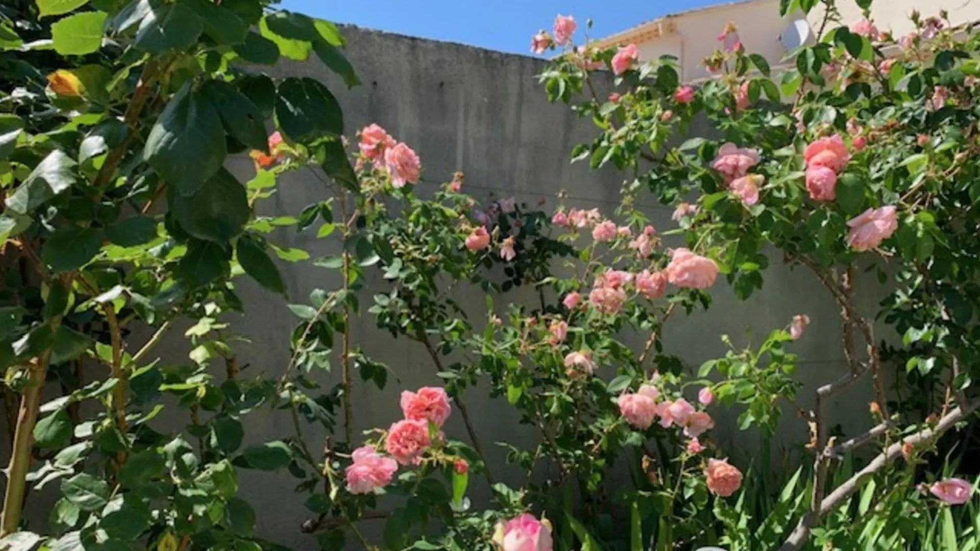 La Maison Rose L'Isle-sur-la-Sorgue 0*,  France