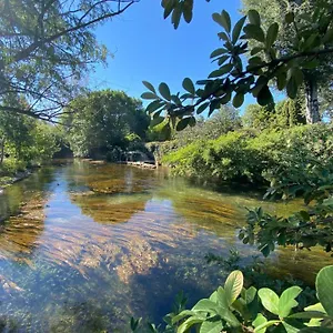 L'odonate, Partage Des Eaux LʼIsle-sur-la-Sorgue